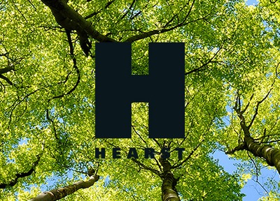 Helping Hearst identify sustainability audiences with real-time search data