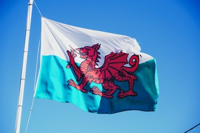 Helping Wales Celebrate St. David’s Day 2021